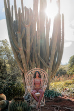 Load image into Gallery viewer, Ohia Lehua - Set